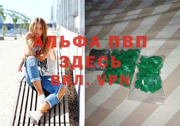 дживик Белокуриха
