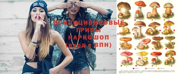 дживик Белокуриха