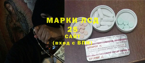 дживик Белокуриха